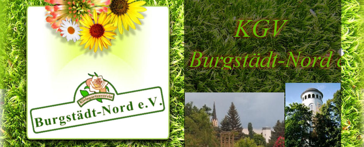 Gartensparte Nord Burgstädt
